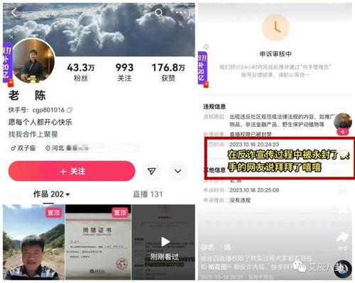 老陈最新爆料消息视频,最新爆料视频深度解析  第3张